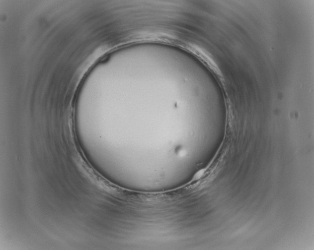 X0000071940899200607281940