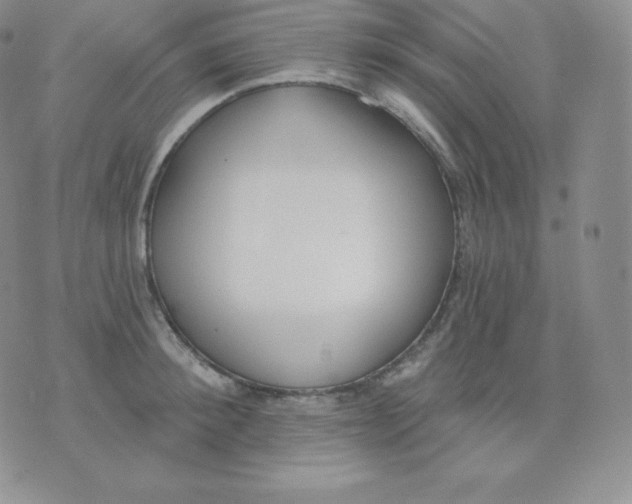 X0000071940900200607281940