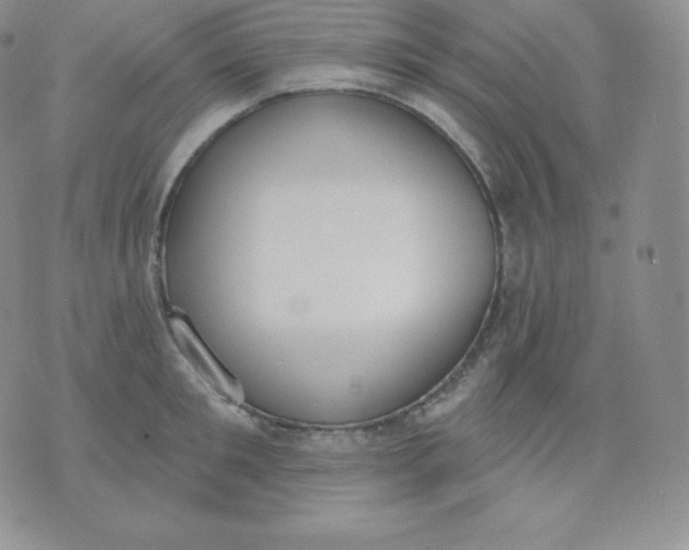 X0000071940901200607281940