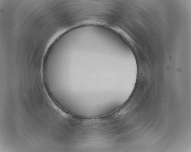 X0000071940902200607281940