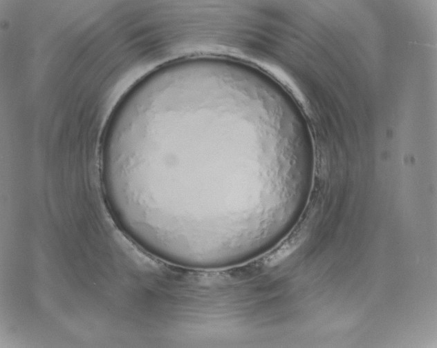 X0000071940903200607281940