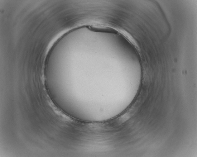 X0000071940904200607281940