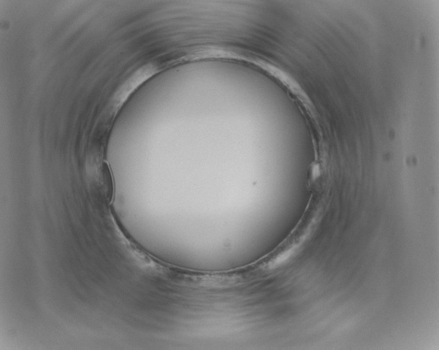 X0000071940905200607281940