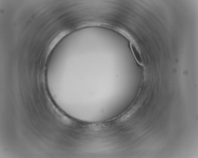 X0000071940906200607281940