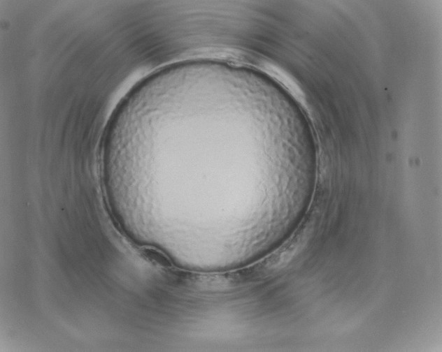 X0000071940907200607281940