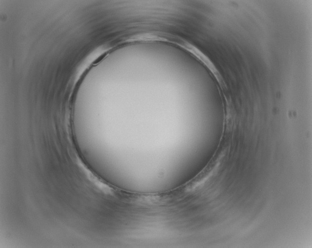 X0000071940909200607281940