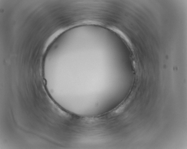 X0000071940910200607281940