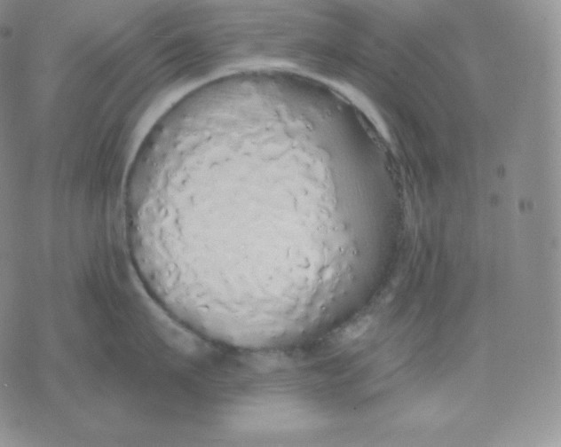 X0000071940911200607281940