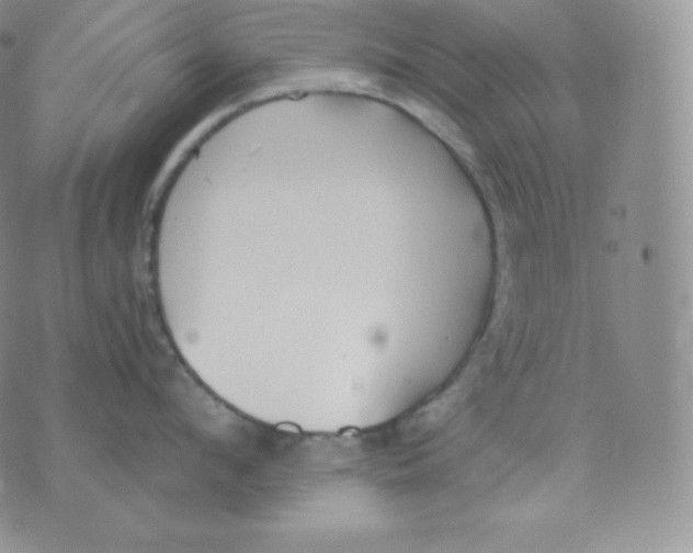 X0000071940912200607281940