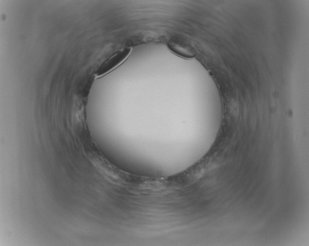 X0000071940914200607281939