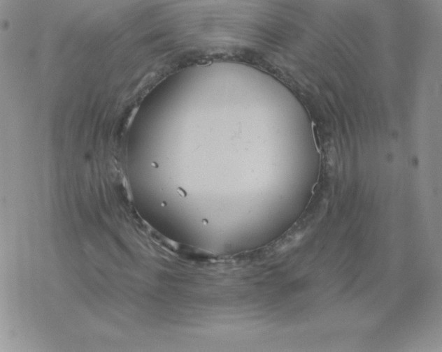 X0000071940916200607281939