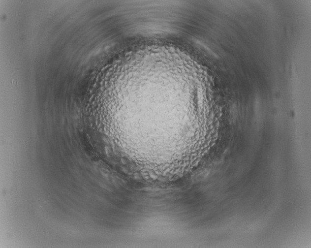 X0000071940917200607281939