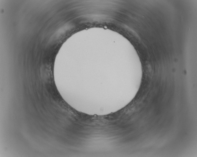 X0000071940918200607281939