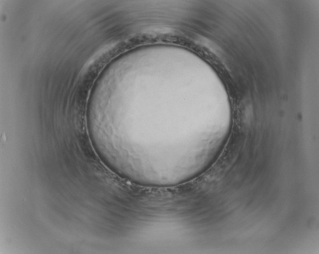 X0000071940919200607281940