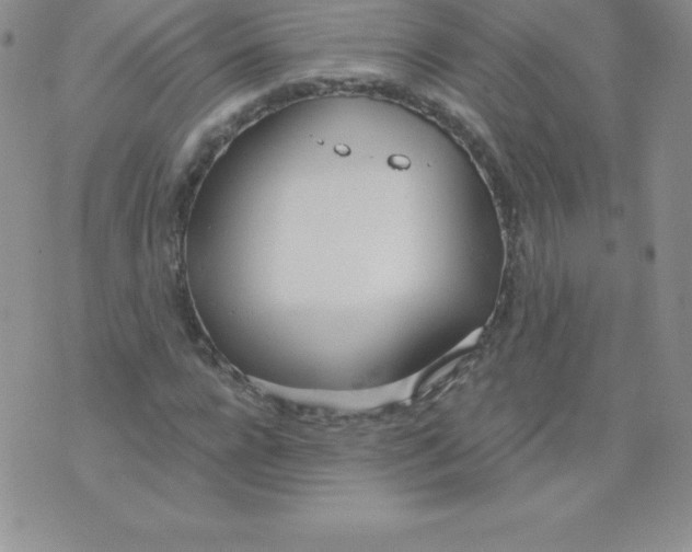 X0000071940920200607281940