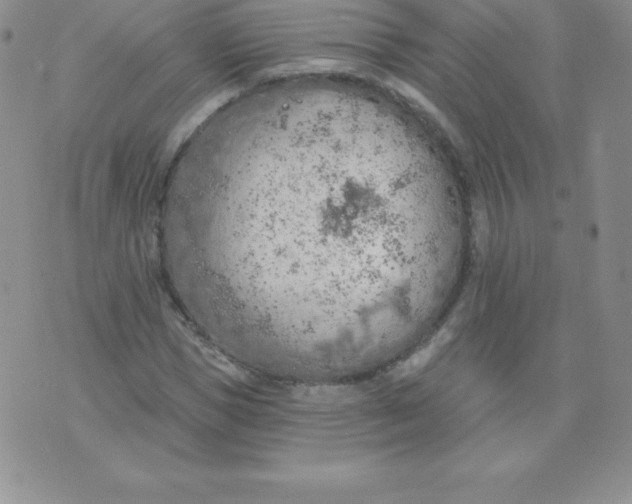 X0000071940921200607281940