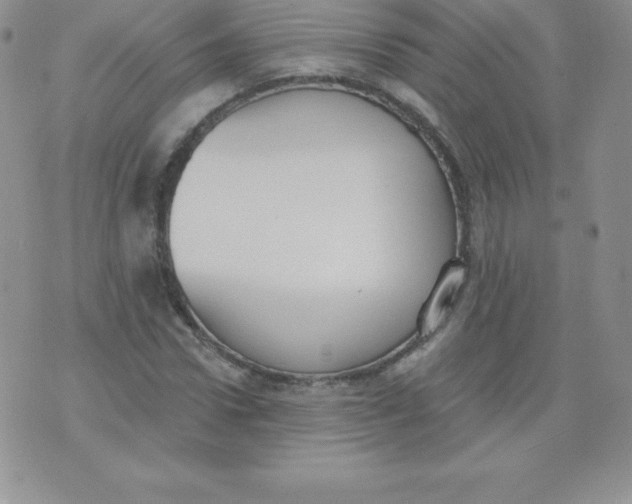 X0000071940922200607281940