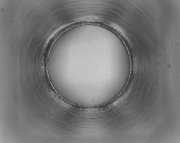 X0000071940923200607281940