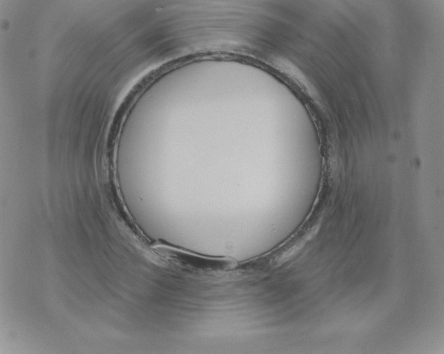 X0000071940924200607281940