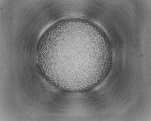 X0000071940925200607281940