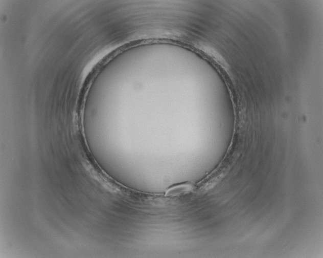 X0000071940928200607281940