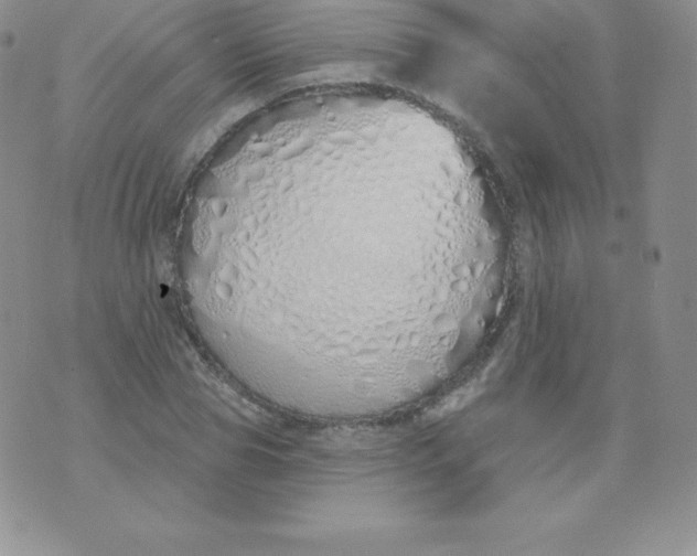 X0000071940929200607281940