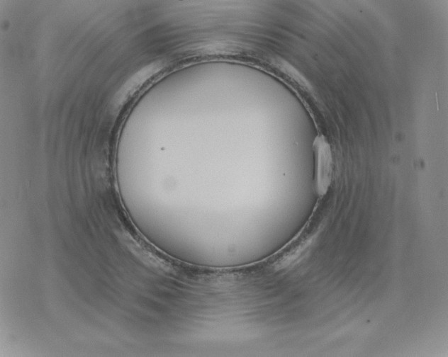 X0000071940930200607281940