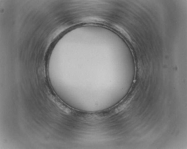 X0000071940931200607281940