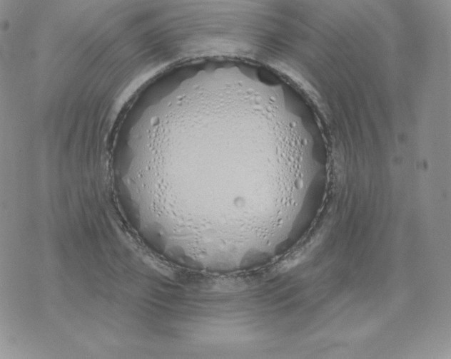 X0000071940933200607281940