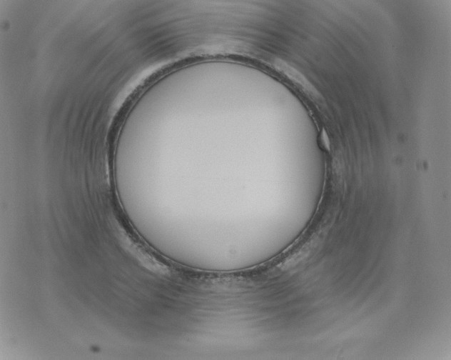 X0000071940934200607281940