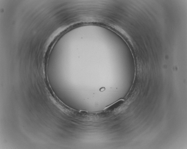 X0000071940935200607281940