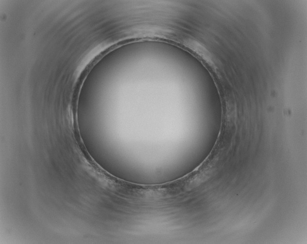 X0000071940936200607281940