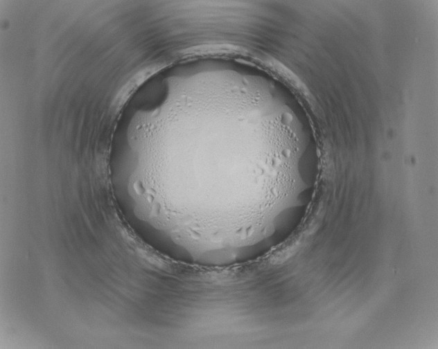 X0000071940937200607281940