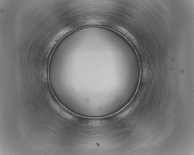 X0000071940938200607281940