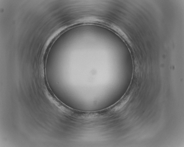 X0000071940939200607281940