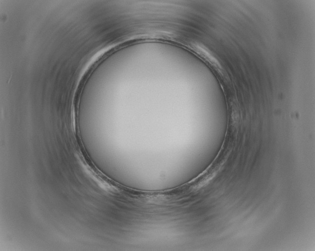 X0000071940940200607281940