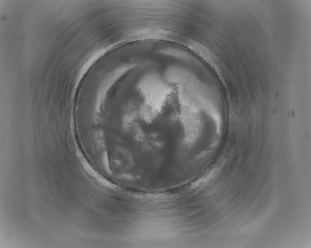 X0000071940941200607281940