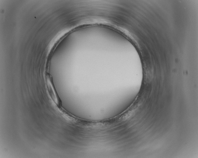 X0000071940943200607281940