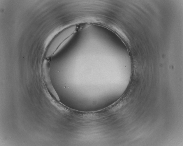 X0000071940944200607281940