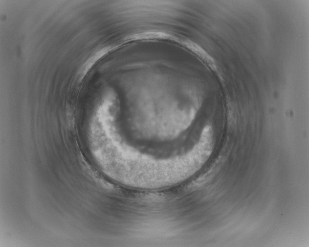 X0000071940945200607281940