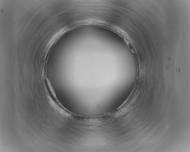 X0000071940946200607281940