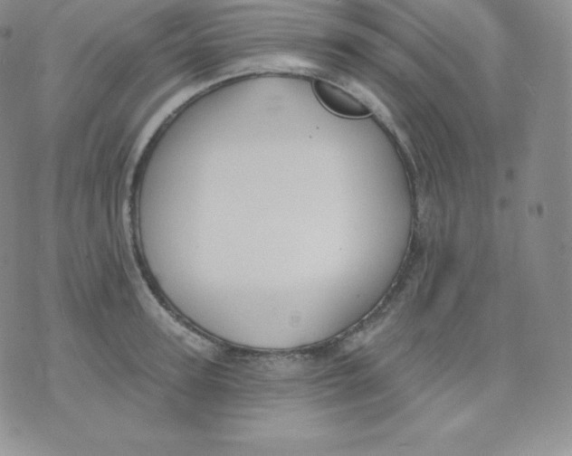 X0000071940947200607281940