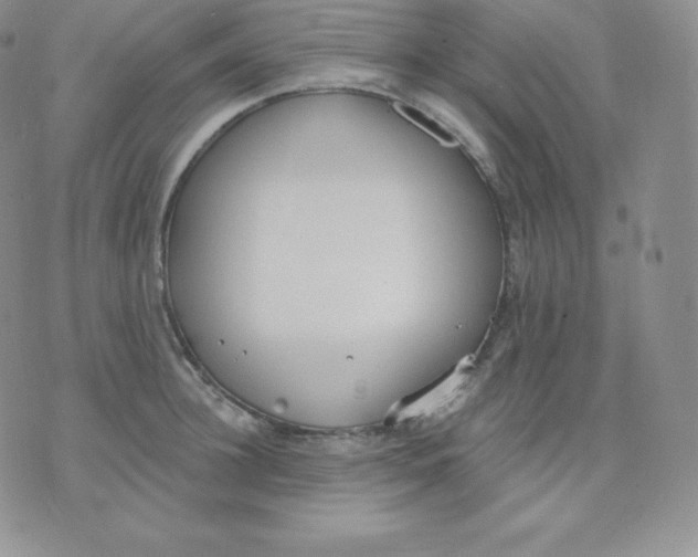 X0000071940948200607281940