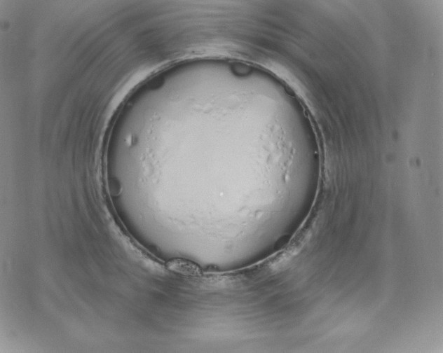 X0000071940949200607281940