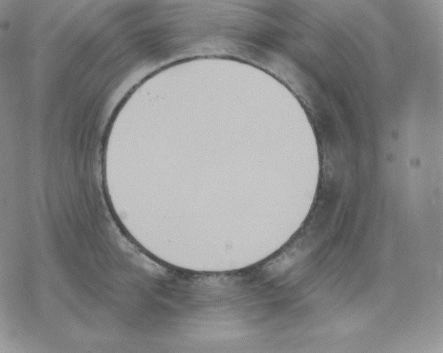 X0000071940950200607281940