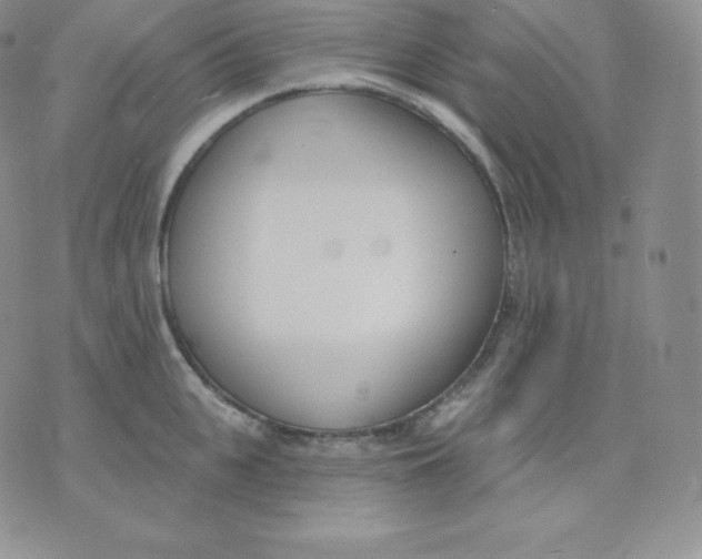 X0000071940951200607281940