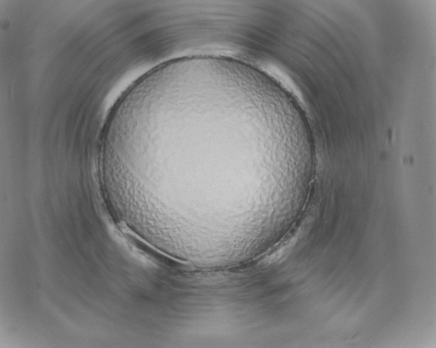 X0000071940952200607281940