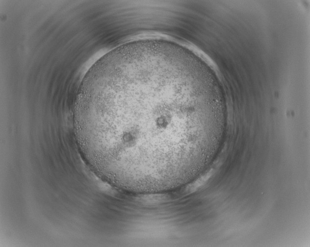 X0000071940953200607281940