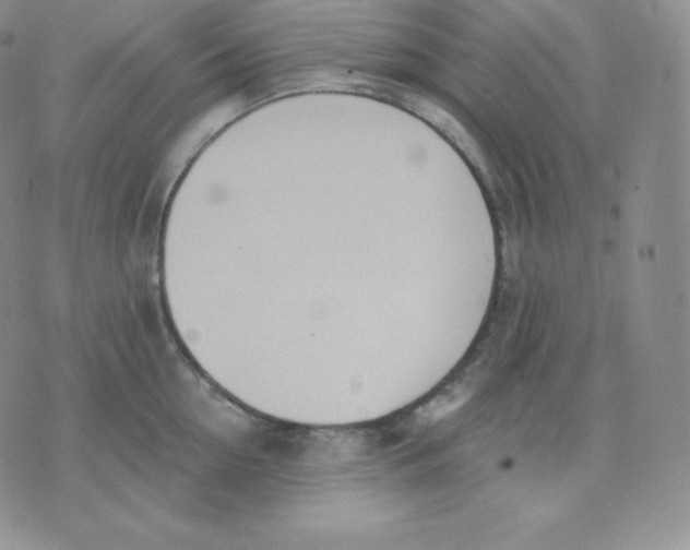 X0000071940954200607281940