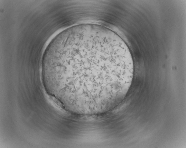 X0000071940955200607281940